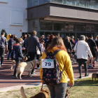 Imatge de l'edició anterior de la tradicional passejada de gossos.