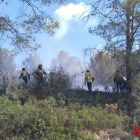 El foc s'ha produït entre l'N-240 i l'avinguda Pallaresos, darrere del camp de tir.