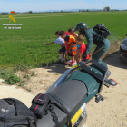 Los rescates se hicieron con la colaboración de varios niños y la Sociedad de Cazadores de Sant Jaume d'Enveja.