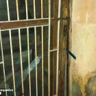Los detenidos hicieron palanca con una herramienta y rompieron el cristal de la puerta de entrada de la casa.