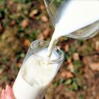 L'objectiu del decret és regular l'activitat de venda per part del productor de llet directament a consumidor final.