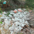 Imatge de la brossa acumulada al descampat del barri de Boscos.