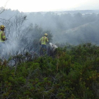 Tres dotacions dels Bombers van extingir el foc en prop de mitja hora.