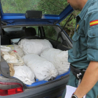 Los agentes pillaron un vehículo cargado con 70 kilos de algarrobas recién cogidas.