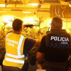 Se han intervenido 305 plantas de cannabis sátiva con un peso de 89 kilos, 1 kilo de marihuana y numerosos útiles y fertilizantes para facilitar su cultivo interior.