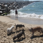 La formación naranja pedirá que la Pineda tenga un espacio canino en su playa.
