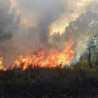 Imatge de l'incendi forestal del barri de Sant Salvador de Tarragona.