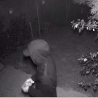 Imagen de una cámara de seguridad del presunto ladrón en un domicilio en la Playa Larga.