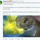 Captura de pantalla donde se puede ver el tuit de la Guardia Civil donde hace un llamamiento a no ensuciar con plásticos con una imagen de una tortuga que lleva enganchado a la boca un plástico amarillo.