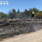 Imatge de l'incendi que ha tingut lloc al costat de la urbanització de Favaret a Amposta.
