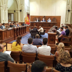 Imagen del pleno de la Diputación de Tarragona celebrado este viernes.