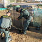 Los agentes del Deprona realizaron un total de 17 inspecciones en la desembocadura del río Ebro.