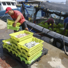 Un home carrega peix d'una de les 23 embarcacions que ahir es van fer a la mar.