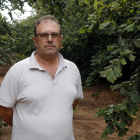 El responsable nacional del sector de la fruita seca d'Unió de Pagesos, Rafel Español, en un camp d'avellaners.