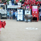 Imagen de un acto taurino en las Festes Majors de Amposta.