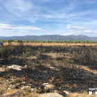 Imagen del campo donde se produjo el incendio.