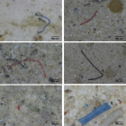 Detalle de microplásticos estudiados por la UAB en el delta de l'Ebre.