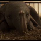 Imagen de Dumbo en el trailer publicado por Disney.