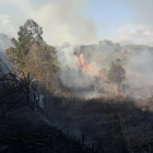 Han cremat un total de tres hectàrees de canyar.