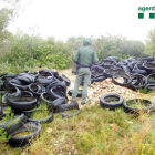 Imatge de l'abocador il·legal localitzat a Creixell, amb una gran quantitat de pneumàtics.