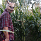 El laberinto de maíz será más complicado de cruzar durante las jornadas del terror.