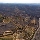 Imatge aèria dels danys causats per l'incendi de la Ribera d'Ebre