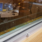 Imagen de los huevos lanzados en los cristales del estudio 1 de la emisora.