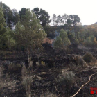 Han cremat. 5.000 hectàrees de vegetació.