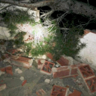 L'arbre ha trencat el mur de la casa sobre el qual ha caigut.