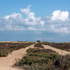 Plano del camino que comunica con la playa en la zona de la Bassa de l'Arena, en Deltebre.