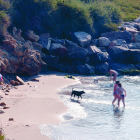 Diversos gossos i els seus propietaris al nou espai de platja on se'ls permet l'accés i el bany a l'estiu.