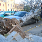 Imatge d'un arbre caigut sobre un cotxe a causa del vent a Valls i del seu propietari observant els danys.