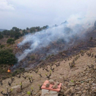 El fuego afecta a los márgenes de unas viñas en la zona de la Plana de la Bleda.