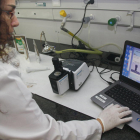 Sílvia de Lamo analizando con el ordenador la composición química de un insecto.