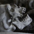 Imagen de archivo de la réplica de un cráneo humano.