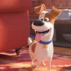 El protagonista de 'Mascotes 2', el gos Max, a la segona part de la seqüela d'animació.