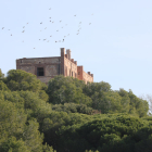 Pla general de l'antic preventori de la Savinosa a Tarragona, envoltada de pins. Imatge del 8 de febrer del 2019