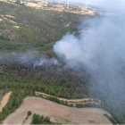 Imatge aèria de l'incendi de Conesa.