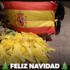 Membres del grup mostren la muntanya de llaços retirats juntament amb una bandera espanyola.