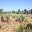 Plano general del solar donde se tiene que construir el nuevo Centro Penitenciario Abierto de Tarragona, en el Parc Francolí.