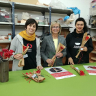 Las rosas solidarias se pondrán a la venta por 8 euros a partir del 18 de abril.