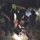 Imatge dels agents junt al gos que van rescatar.
