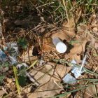 Les restes d'haver-se injectat heroïna o cocaïna queden a la vista i també n'hi ha entre la vegetació.