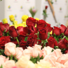 Imatge de roses vermelles i roses aquest abril de 2019 a Mercabarna.