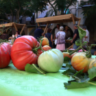 Plano abierto de tomates expuestos en un stand de la I Fira de la Tomaca del Priorat en Falset.