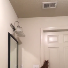 El gat, intentant escapar