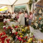 Imagen de la celebración del Rocío en el Pinar, correspondiendo a la edición del 2017.