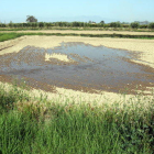 Imagen de archivo de una finca de arroz del término de Amposta donde empieza a entrar agua del canal para inundarla antes de la siembra.