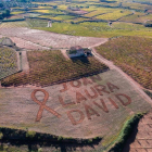 Imatge del missatge escrit amb un tractor a una finca agrícola.