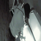 Captura del grabaciones de una cámara de seguridad de uno de los establecimientos afectados.